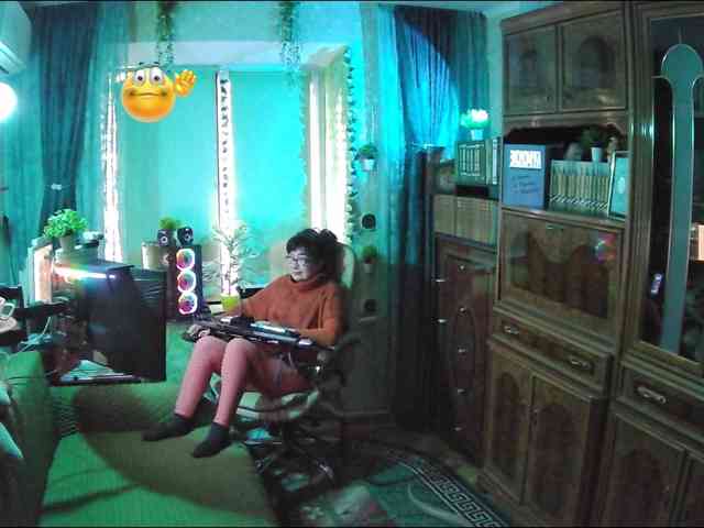 Infodar webcam