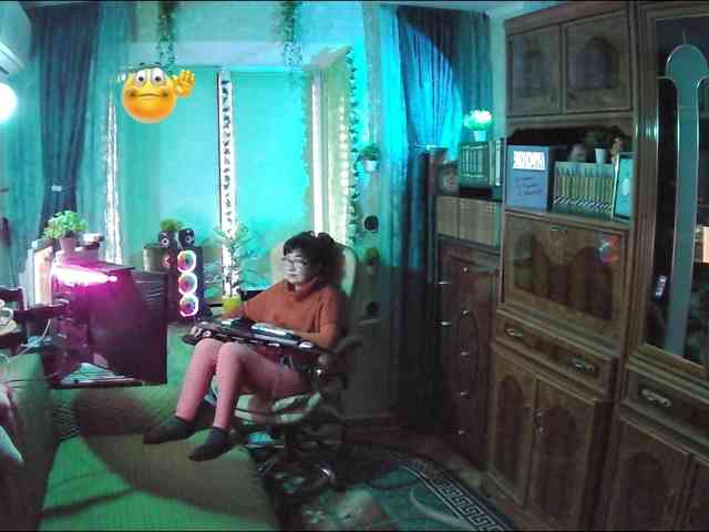 Infodar webcam