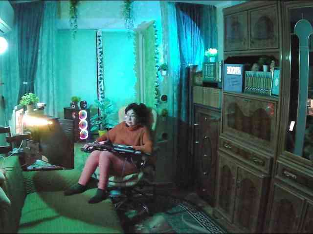 Infodar webcam