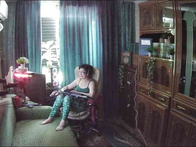 Infodar webcam