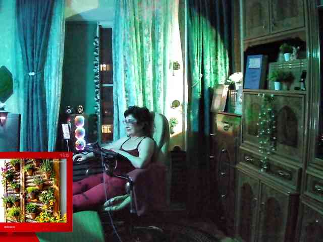Infodar webcam