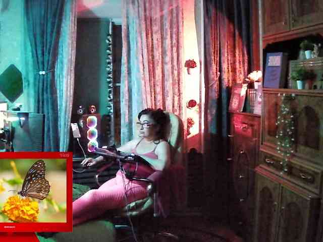 Infodar webcam