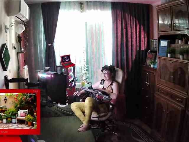 Infodar webcam