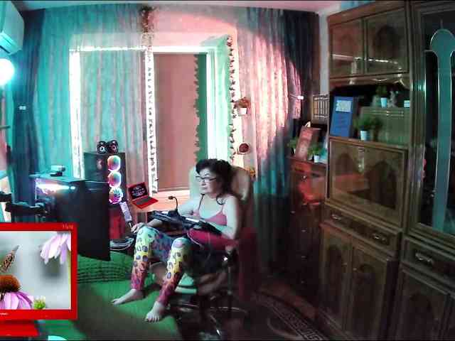 Infodar webcam