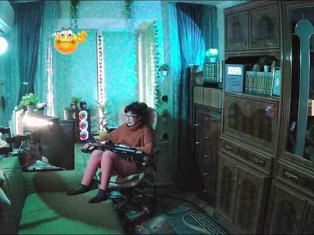 Infodar webcam