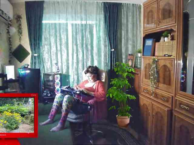Infodar webcam