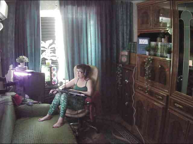 Infodar webcam