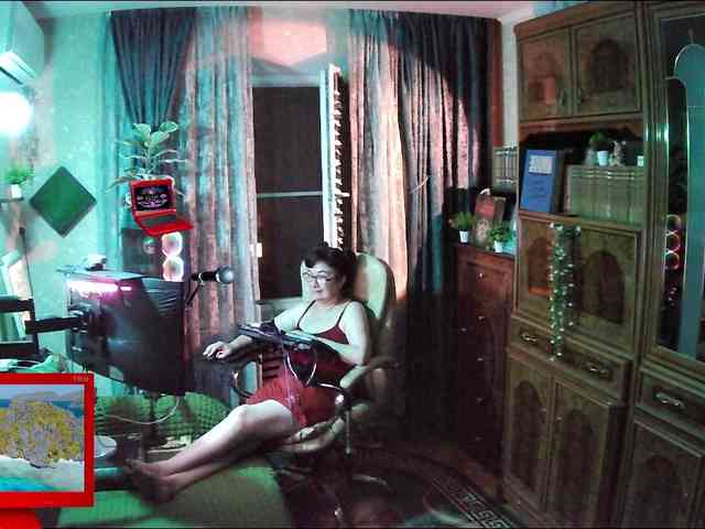 Infodar webcam