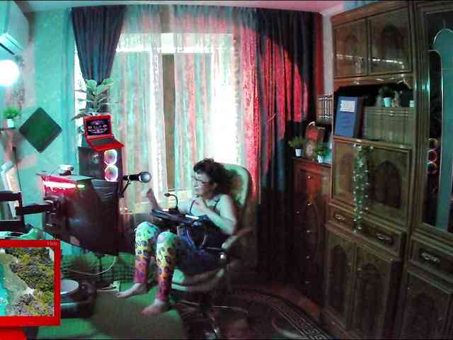 Infodar webcam