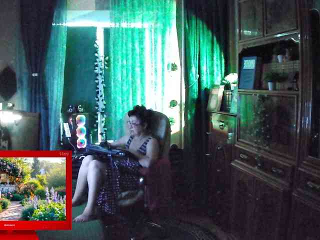 Infodar webcam