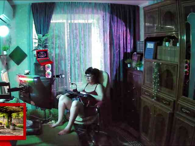 Infodar webcam