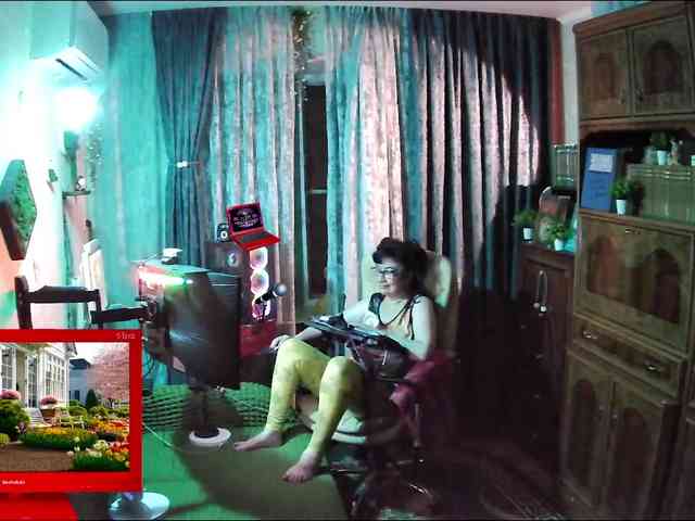 Infodar webcam