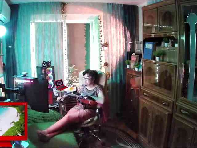 Infodar webcam
