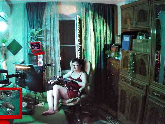 Infodar webcam