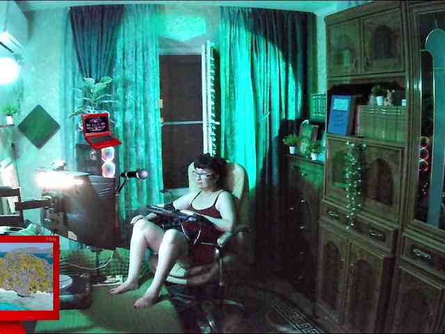 Infodar webcam