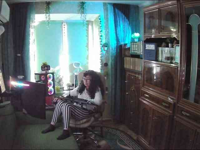 Infodar webcam