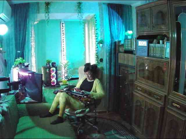 Infodar webcam