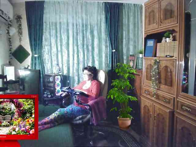 Infodar webcam