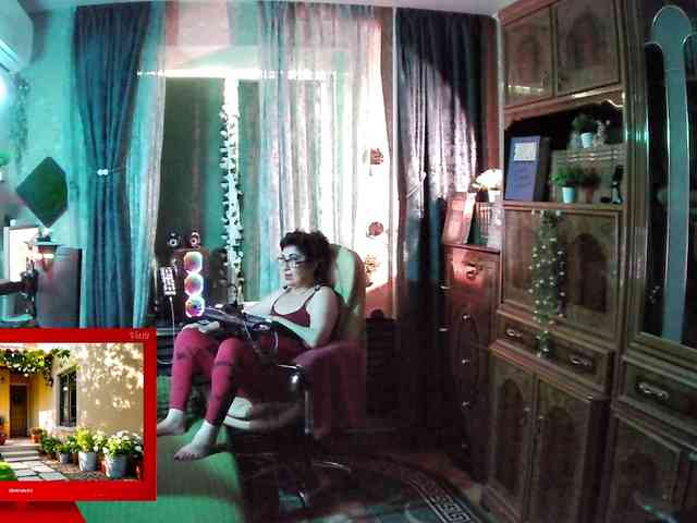Infodar webcam