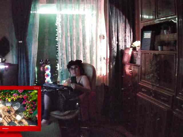 Infodar webcam