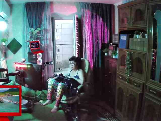 Infodar webcam