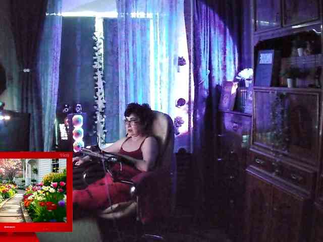 Infodar webcam