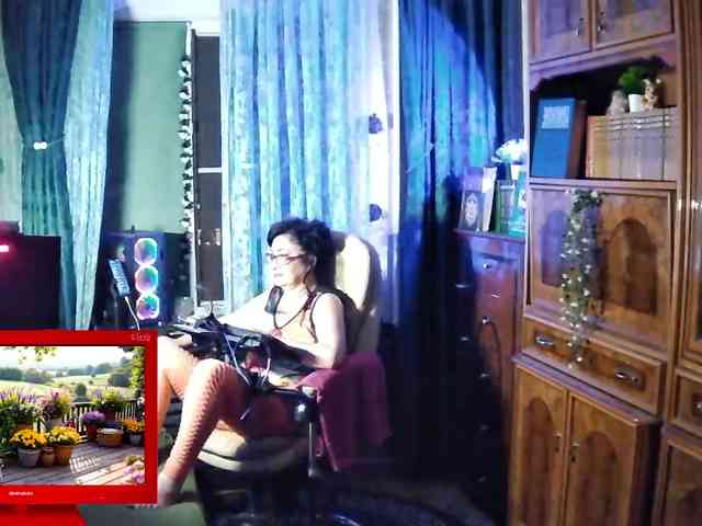 Infodar webcam