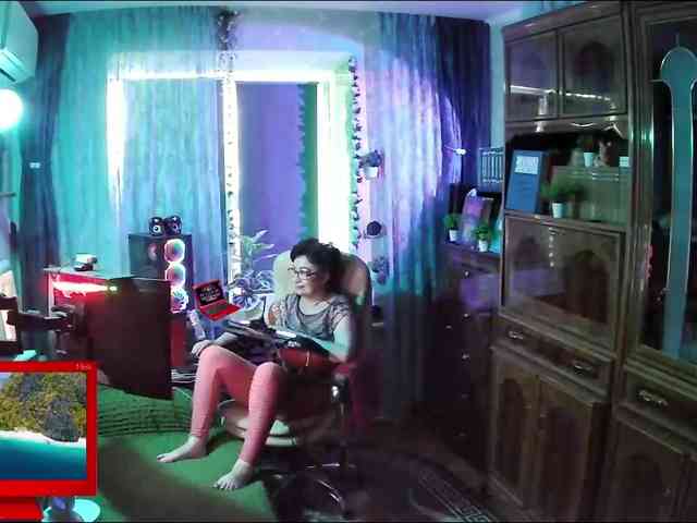 Infodar webcam
