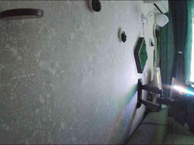 Infodar webcam