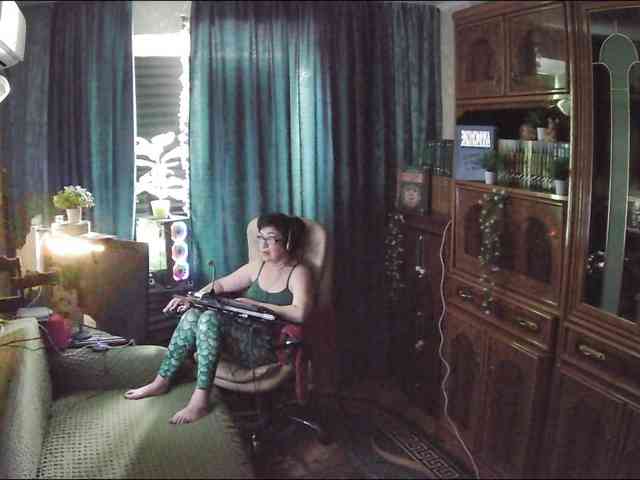 Infodar webcam