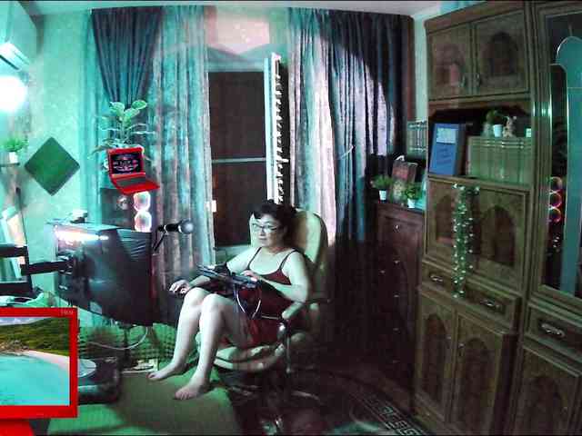 Infodar webcam