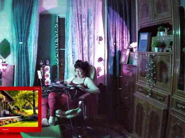 Infodar webcam