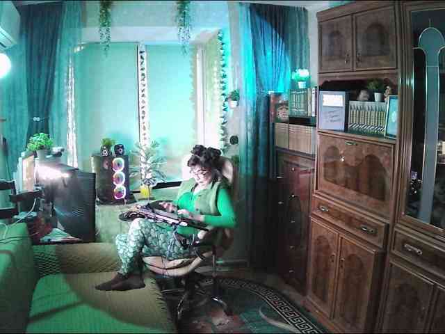 Infodar webcam