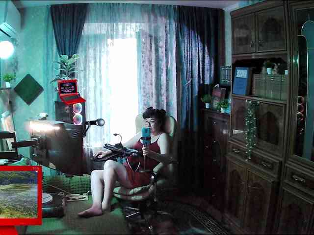 Infodar webcam