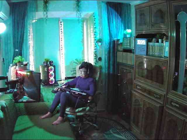 Infodar webcam