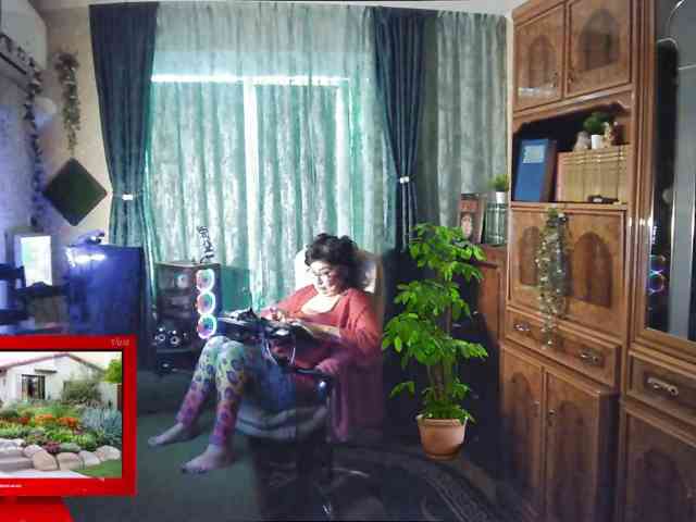 Infodar webcam