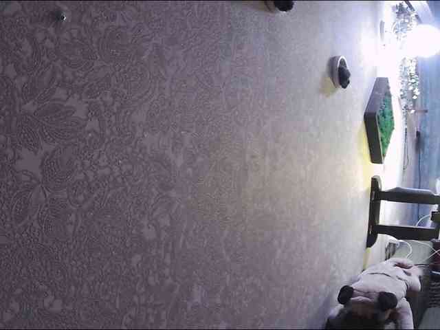 Infodar webcam