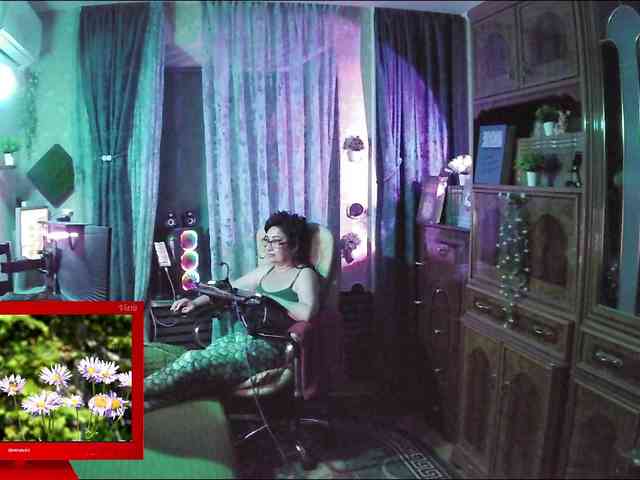 Infodar webcam