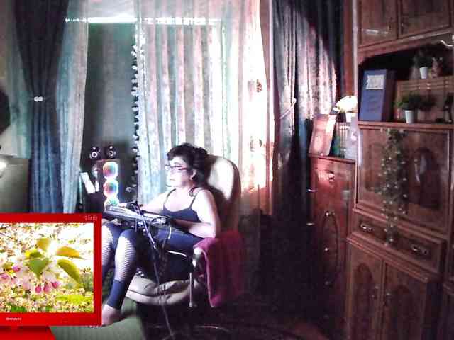 Infodar webcam
