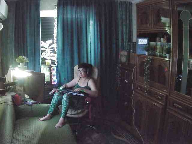 Infodar webcam