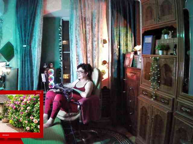 Infodar webcam