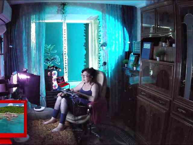 Infodar webcam