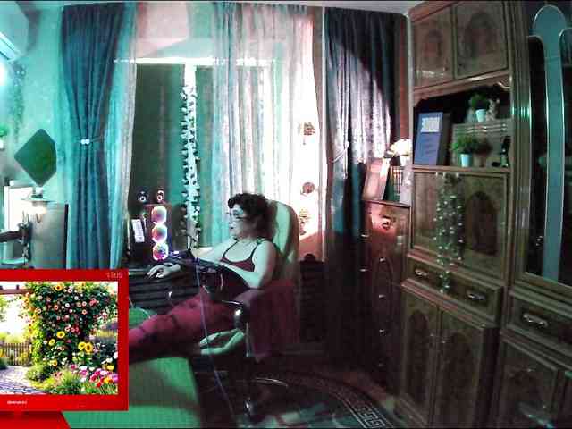 Infodar webcam
