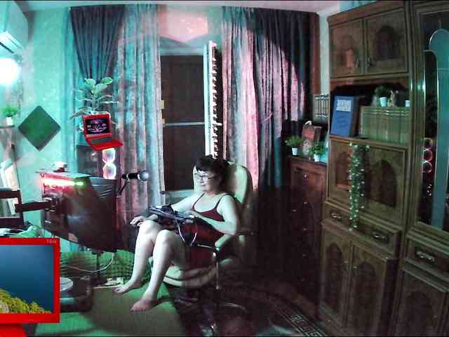 Infodar webcam