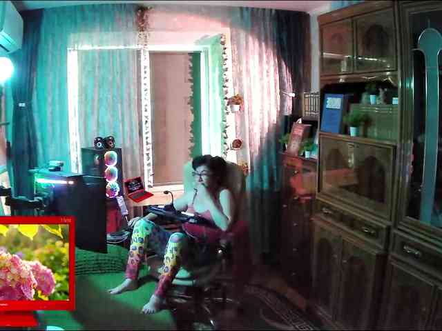 Infodar webcam