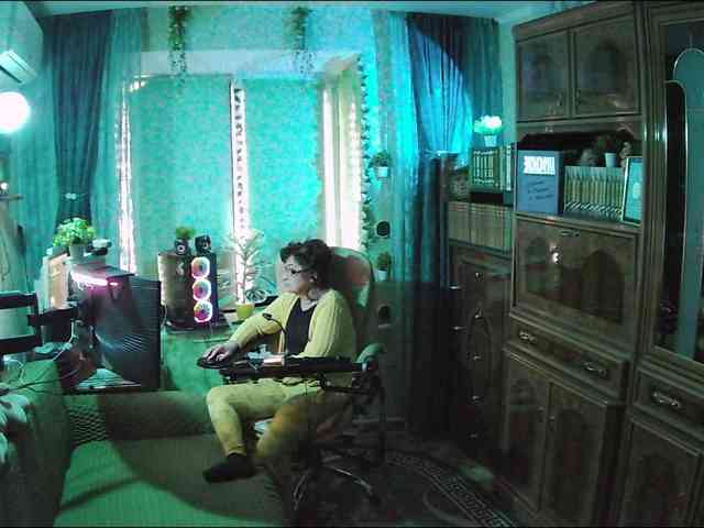 Infodar webcam