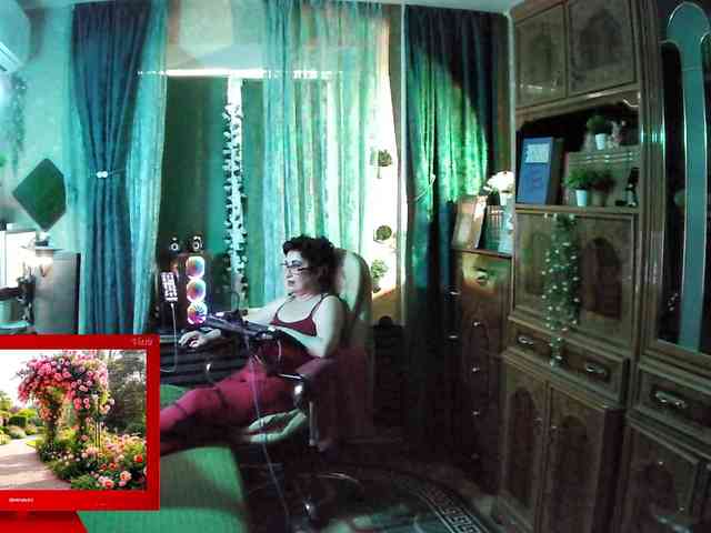 Infodar webcam