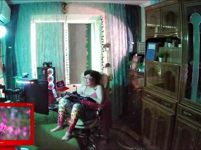 Infodar webcam