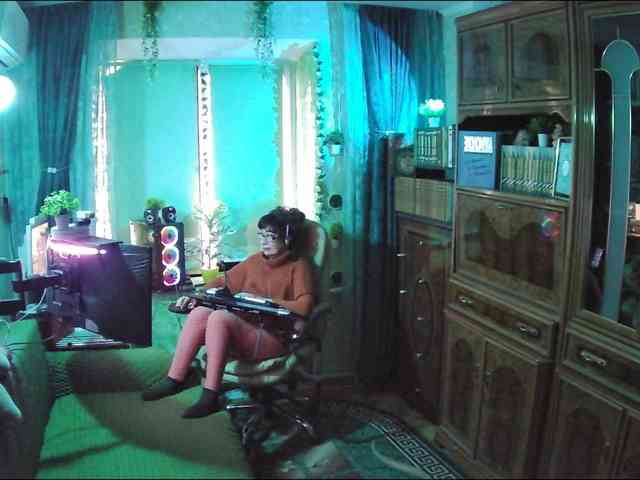 Infodar webcam