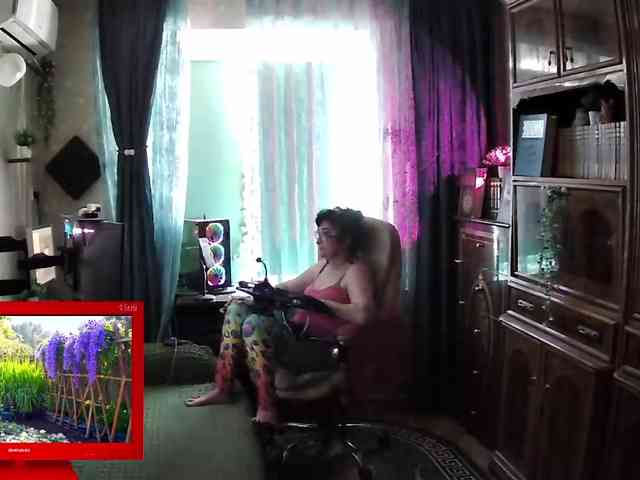 Infodar webcam